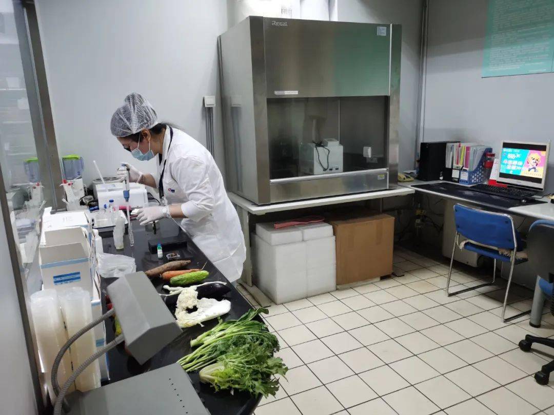 共青城食品检测实验室装修方案